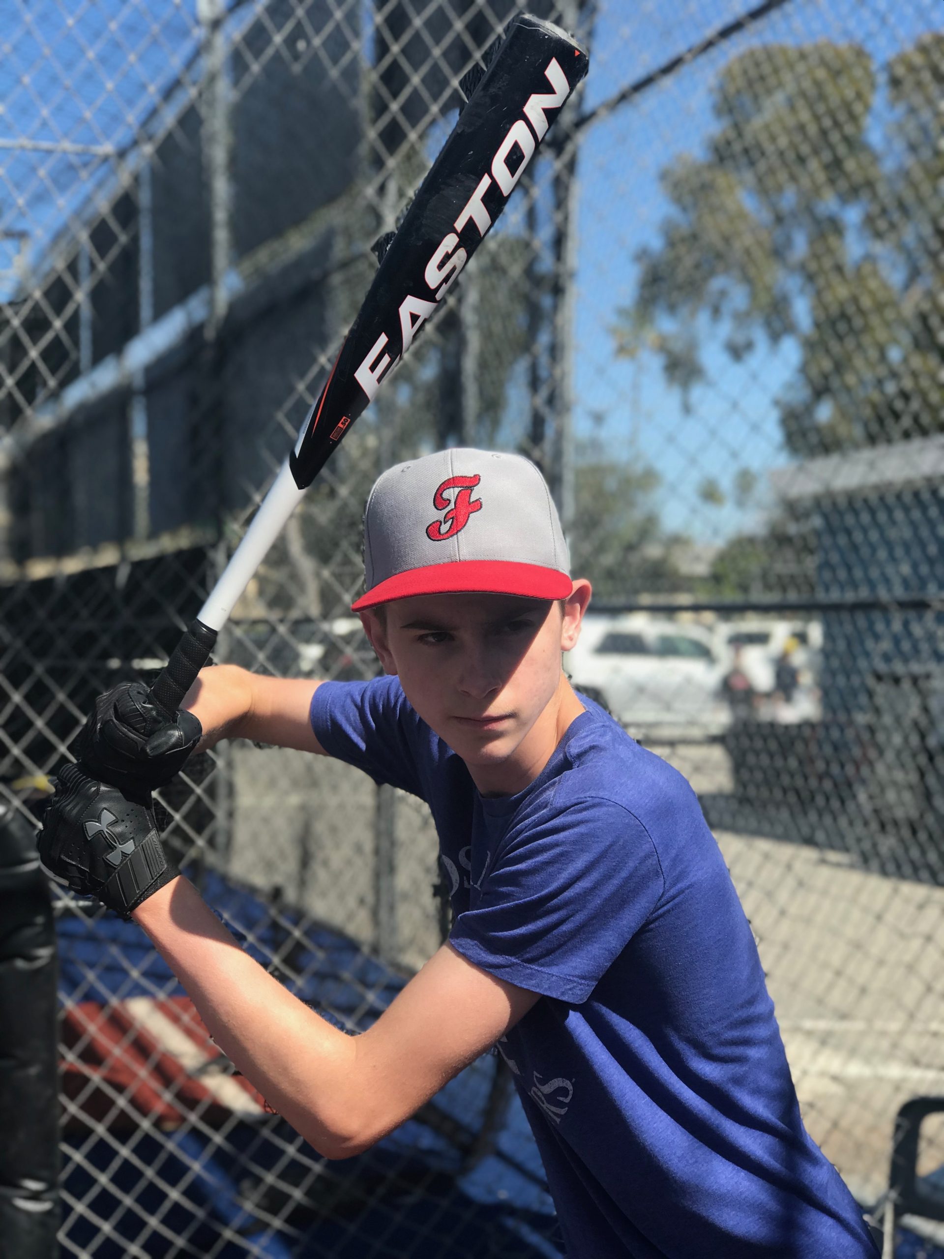 Hitting Lessons in California