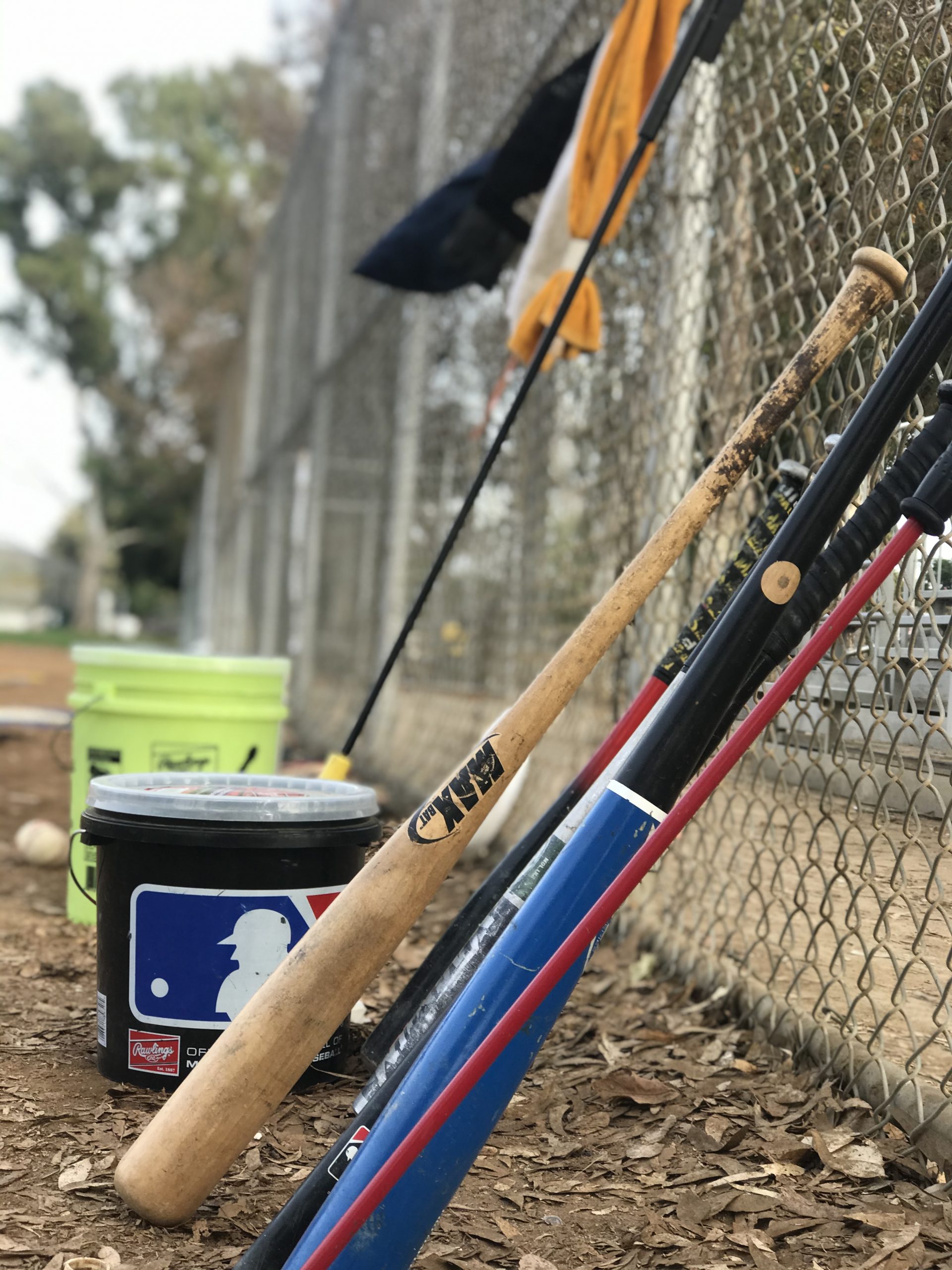 Baseball Trainers in Playa Vista, CA | MADE Baseball