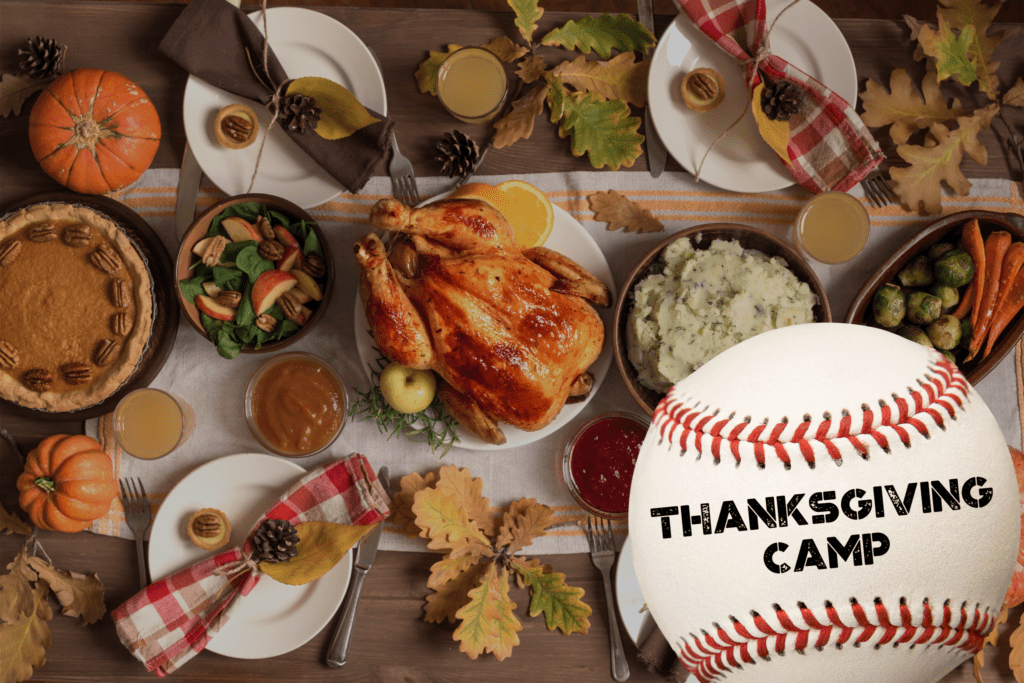 Thanksgiving Baseball Camps in Santa Monica